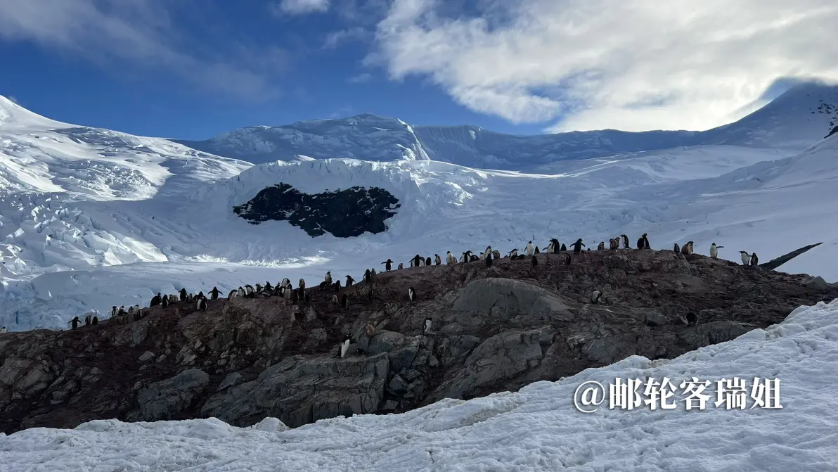 雪山环绕着企鹅聚集的岩石岸边