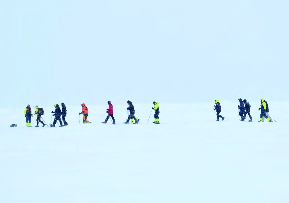 探险队员在南极雪原中列队前行